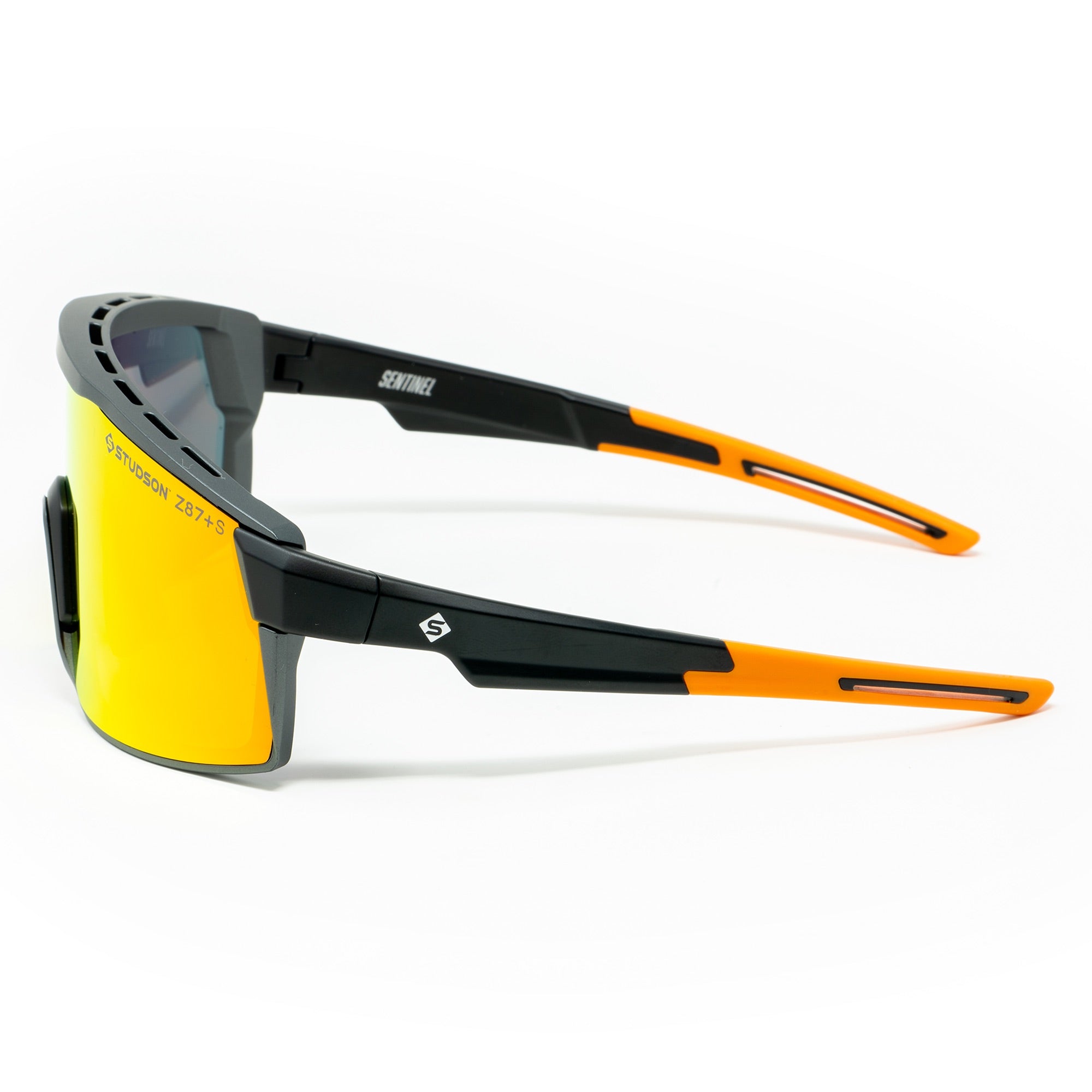 The Sentinel Safety Glasses