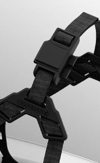 a close up of a strap